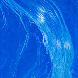 Image by Daniele Levis Pelusi