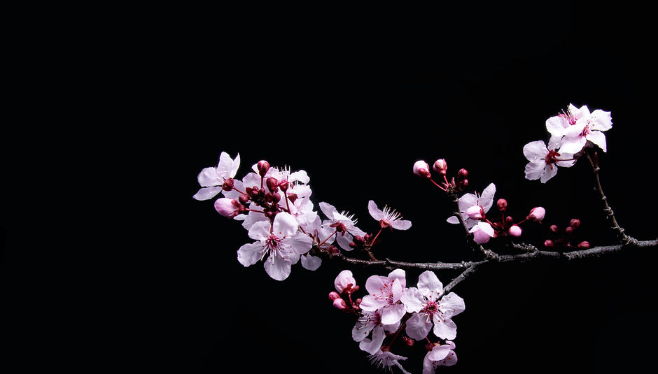 Image by David Brooke Martin