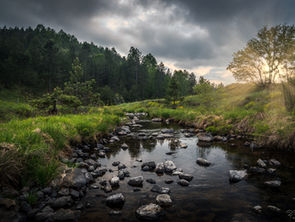 Build a Stream Crossing