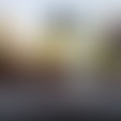 Day 9 Blog: Beginner English Phrases Everyone Should Know