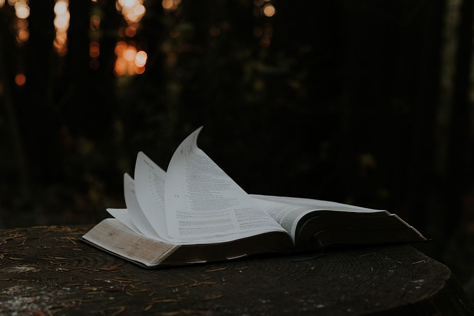 Image by Priscilla Du Preez