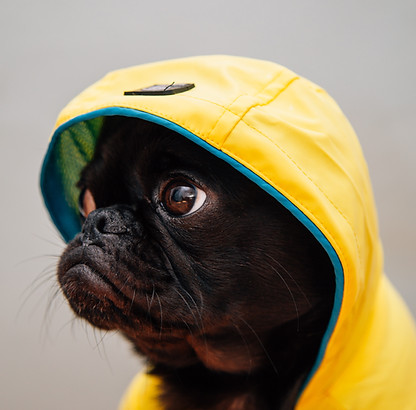Image by charlesdeluvio