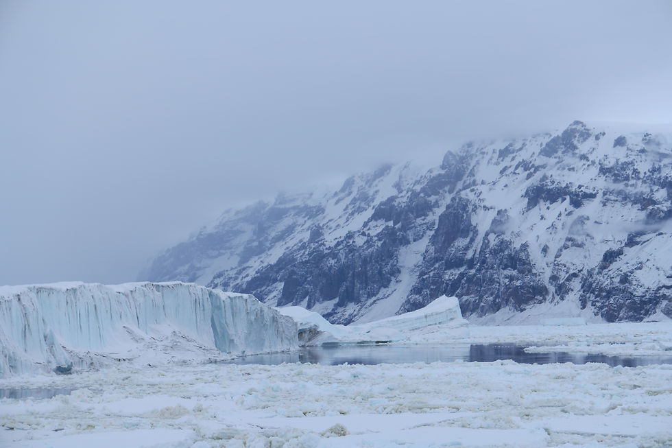 Polar
