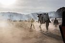 Image by Jakob Owens