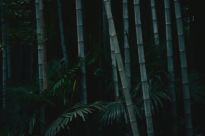 Image de Jennifer Chen