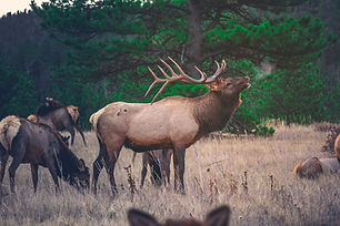 Image by Byron Johnson