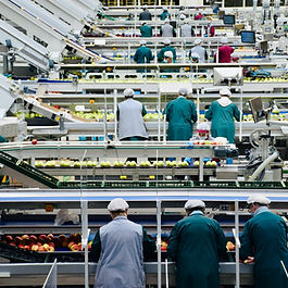 ISO 22000 belgesi danışmanlığı – gıda güvenliği yönetim sistemi kurulumu, KaliteTürk