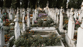 Decreasing Dialysis Can Lead To Death