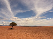 Image by Wolfgang Hasselmann