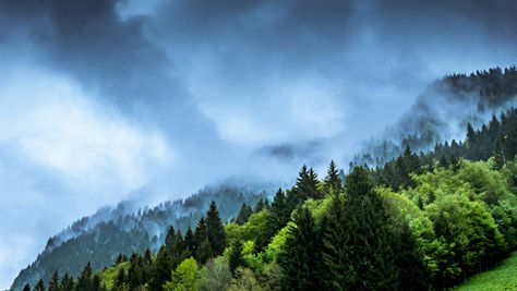 Everything You Need to Know About Amazon's Climate Pledge Friendly Badge