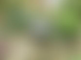 The Golf Course and its paths are not for walkers, joggers and cyclists