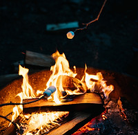 Image by Sidney Pearce