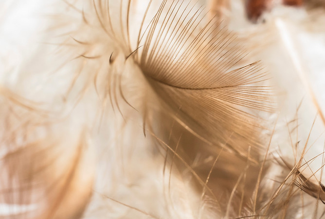 Image by Julian Hanslmaier