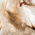 Image de Julian Hanslmaier