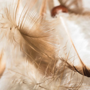 Young Adult Urban Fantasy