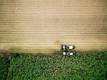 Image by Josh Withers