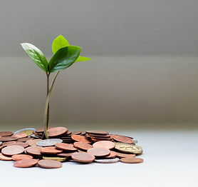 Image by Micheile Henderson