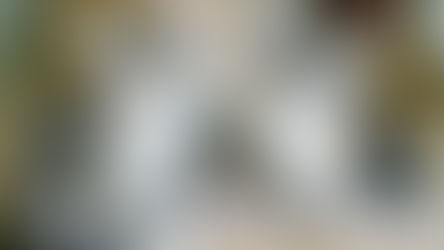 Whiskers Supports Shadow Cats June Gala Event