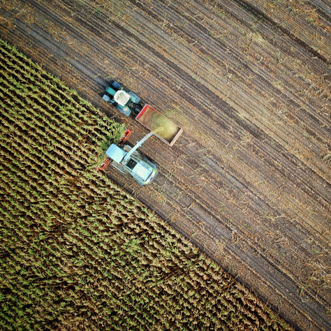Can Urban and Sustainable Agriculture be Achieved? The Case of Rosario, Argentina
