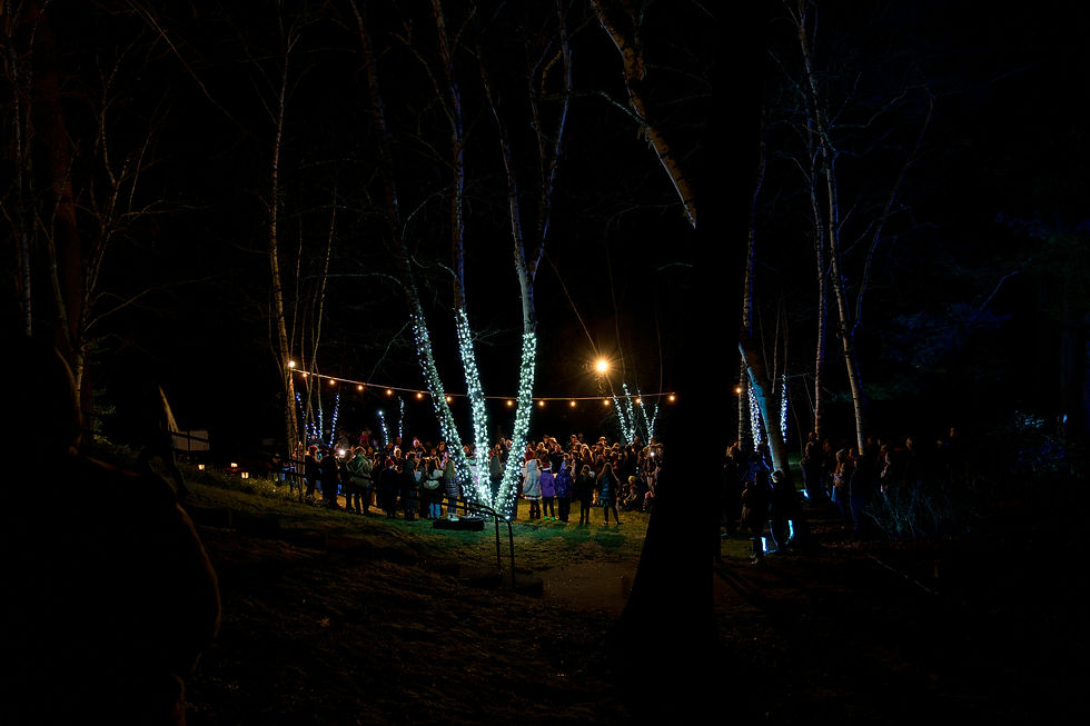 Traditional Carols | Alder Road | 8.00PM