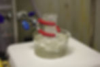 Image by Chromatograph
