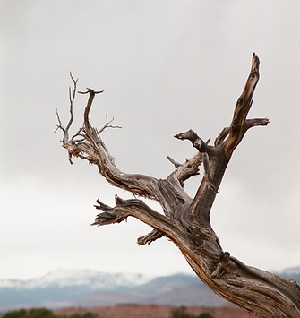 Image by Peter Bedor