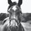 Thumbnail: Brass Crackin' Tack and Lasso Earrings
