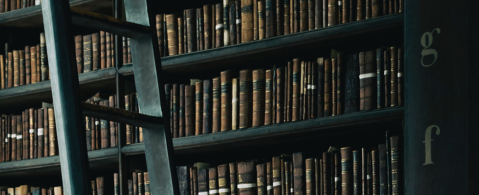 Leiter vor einem mit Büchern gefüllten Bibliotheksregal