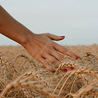 Image by Paz Arando