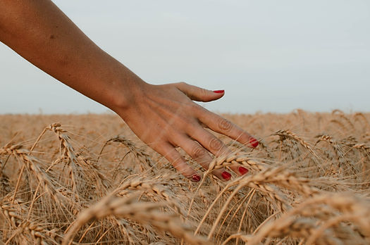 Image by Paz Arando