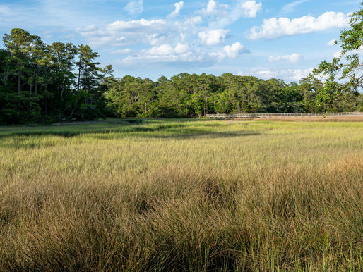 ACE Basin