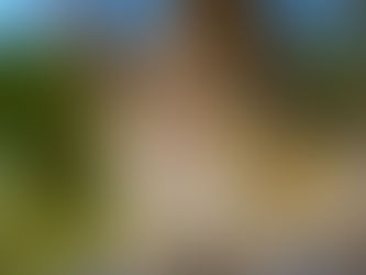 Fluffy Chipmunk Fun! https://www.tiktok.com/@ptyjoymiami/video/7516686754854784287 https://www.youtube.com/watch?v=lk_0J3ftR2E
