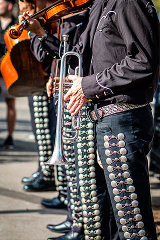 Image by Mark Williams