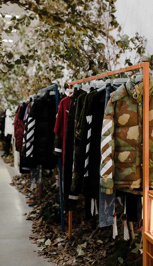 Image by Matthew Hamilton