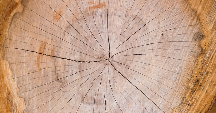 Image by Artur Łuczka