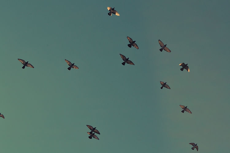 Image by Fré Sonneveld