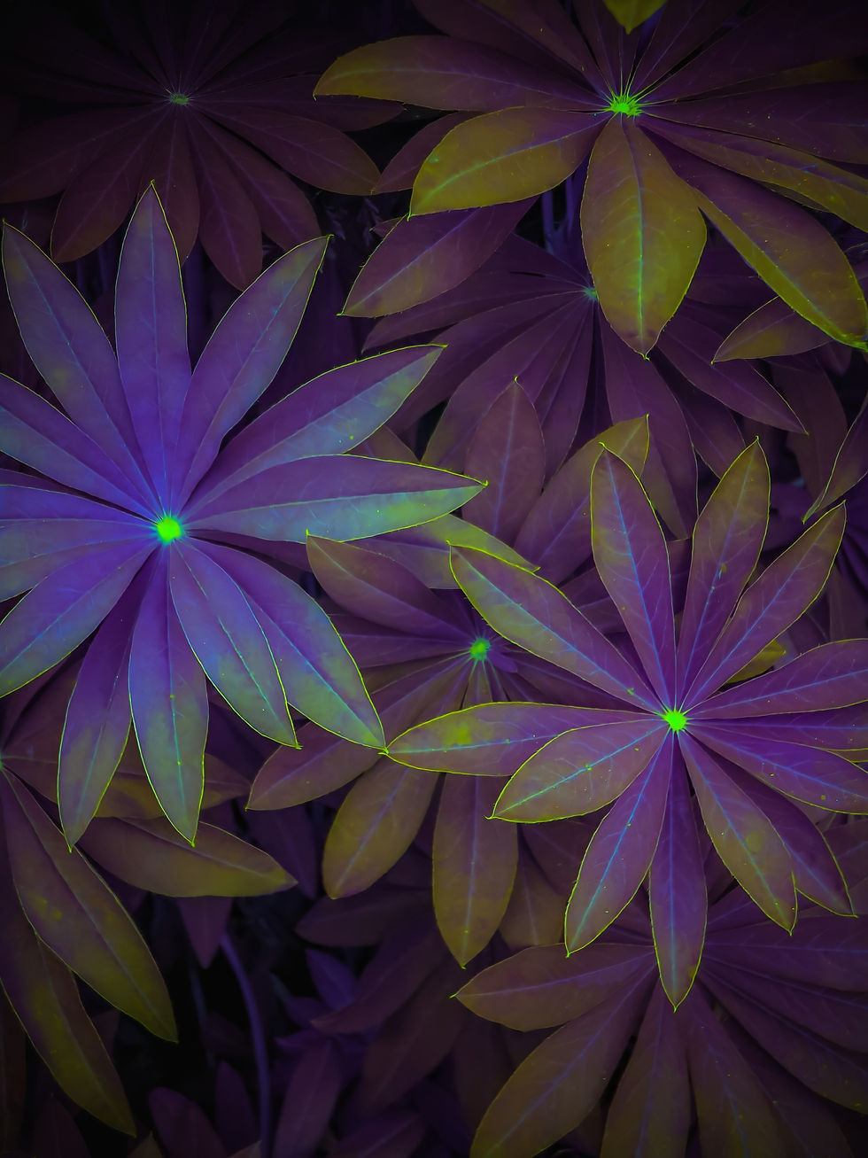 If you want to know what to do next, just look around you. The clues are there