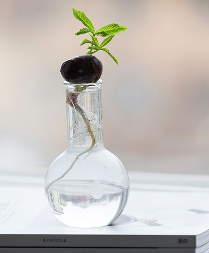 Image by Daniel Hjalmarsson