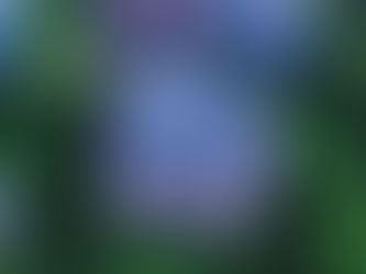 Monday Musings: Spring Fever & Spring Lists