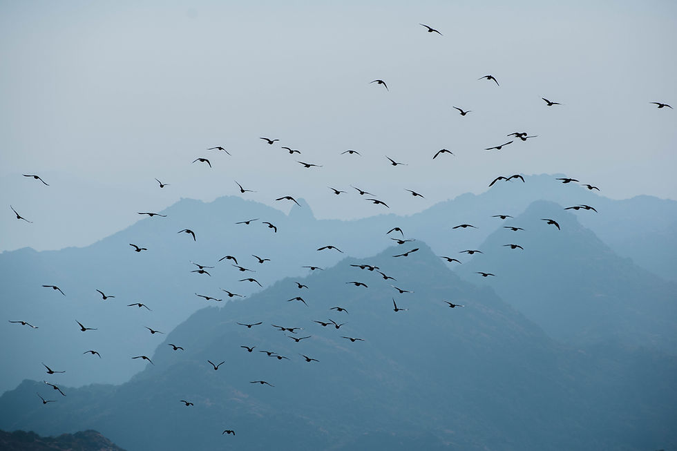 Image by Shubham Shrivastava