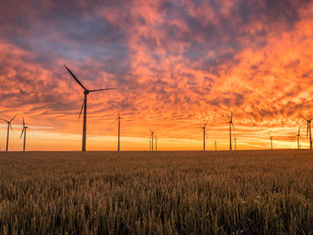 Scientists Report Record Global Temperatures as Climate Monitoring Enters Critical Phase