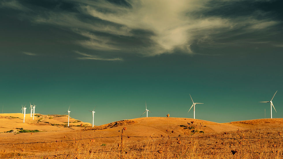 Projetos de Geração de Créditos de Carbono