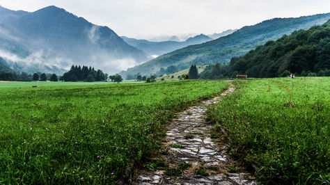 The Power of Pausing: How Slowing Down Can Keep You Aligned