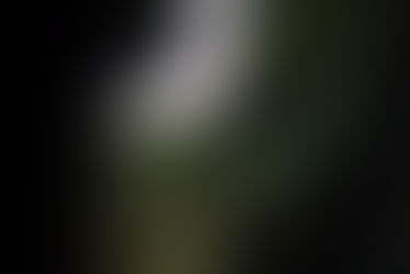 I'm Here to Tell My Stories