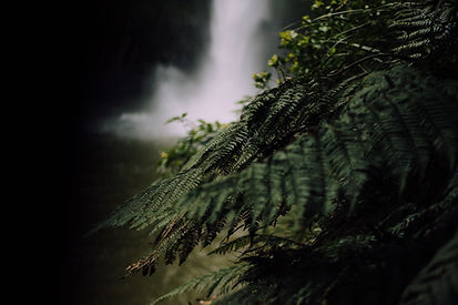 Image by Tim Marshall