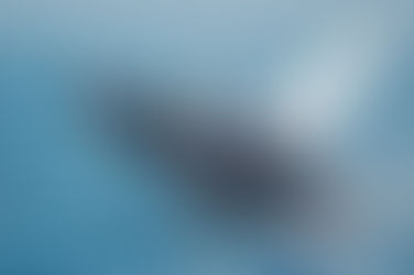 ATP: Nature of Energy & Vital Functions