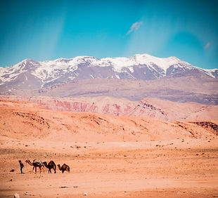 Image by Diego van Sommeren
