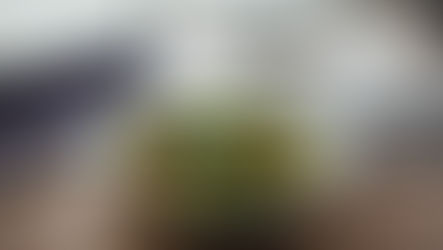 The Power of Nutrition: Fuelling Your Body for Optimal Performance