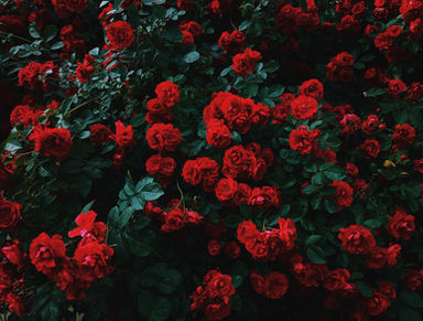 7 Delicious Mind Hacks For Overflowing Self-love💞