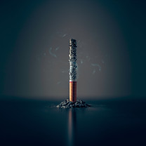 Image by Mathew MacQuarrie